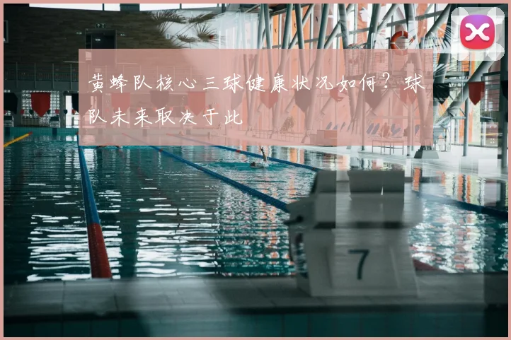 黄蜂队核心三球健康状况如何？球队未来取决于此