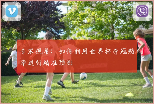 专家视角：如何利用世界杯夺冠赔率进行精准预测