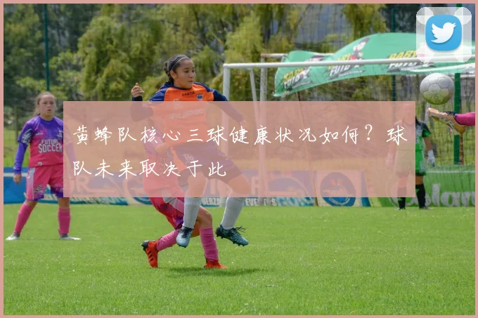 黄蜂队核心三球健康状况如何？球队未来取决于此
