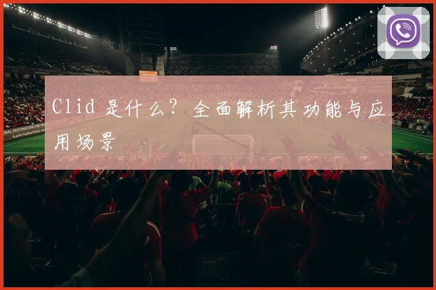 Clid 是什么？全面解析其功能与应用场景