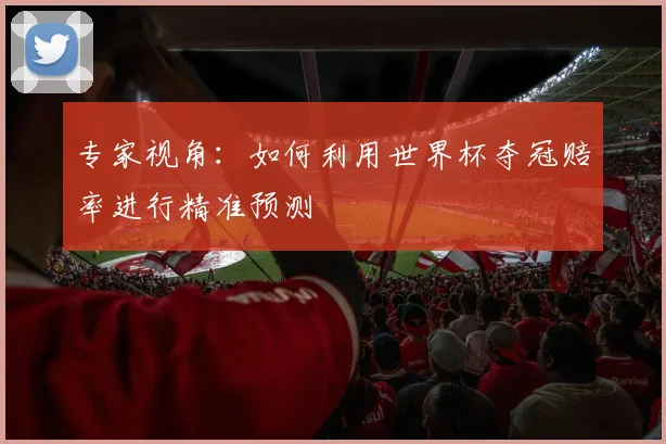 专家视角：如何利用世界杯夺冠赔率进行精准预测