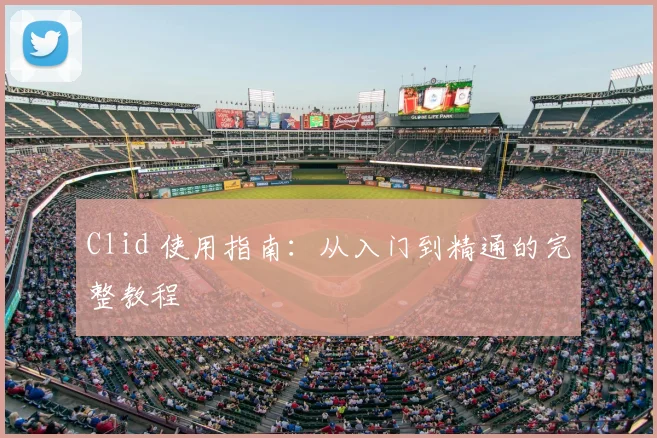Clid 使用指南：从入门到精通的完整教程