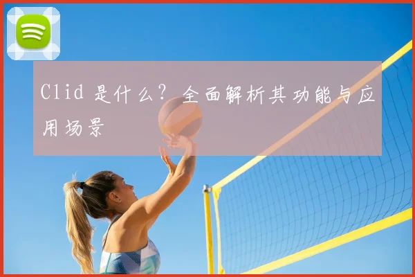 Clid 是什么？全面解析其功能与应用场景
